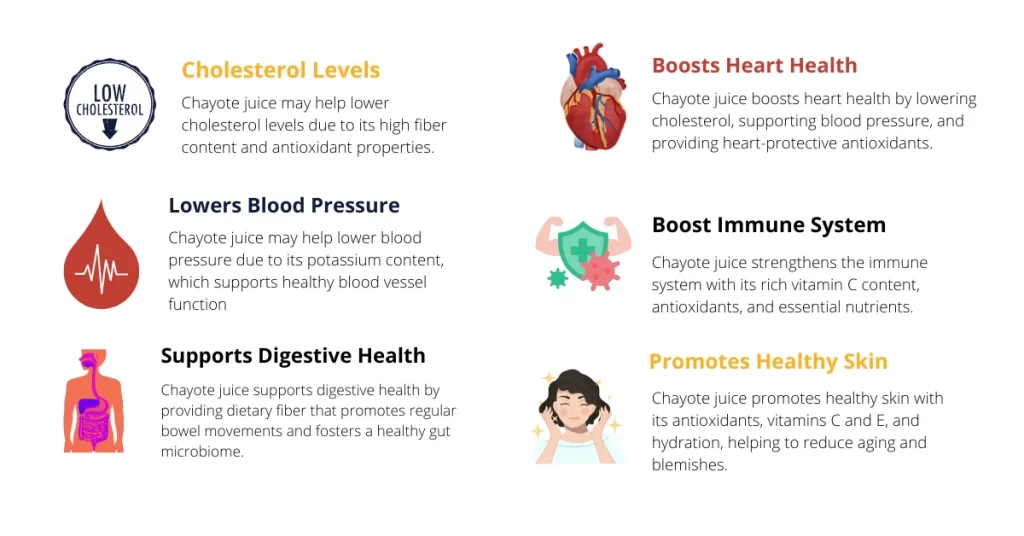 Key-Health-Benefits-of-Chayote-Juice-1024x536 How Does Chayote Juice Benefit Your Health and Nutrition Facts